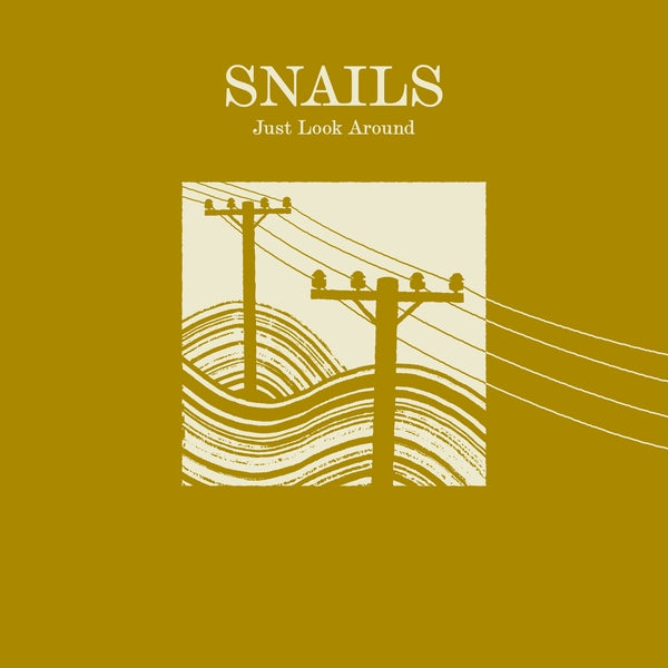 Snails Just Look Around