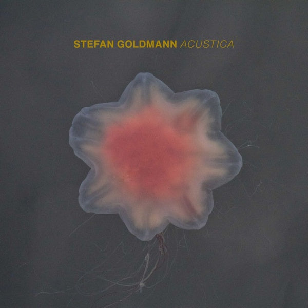 STEFAN GOLDMANN Acustica