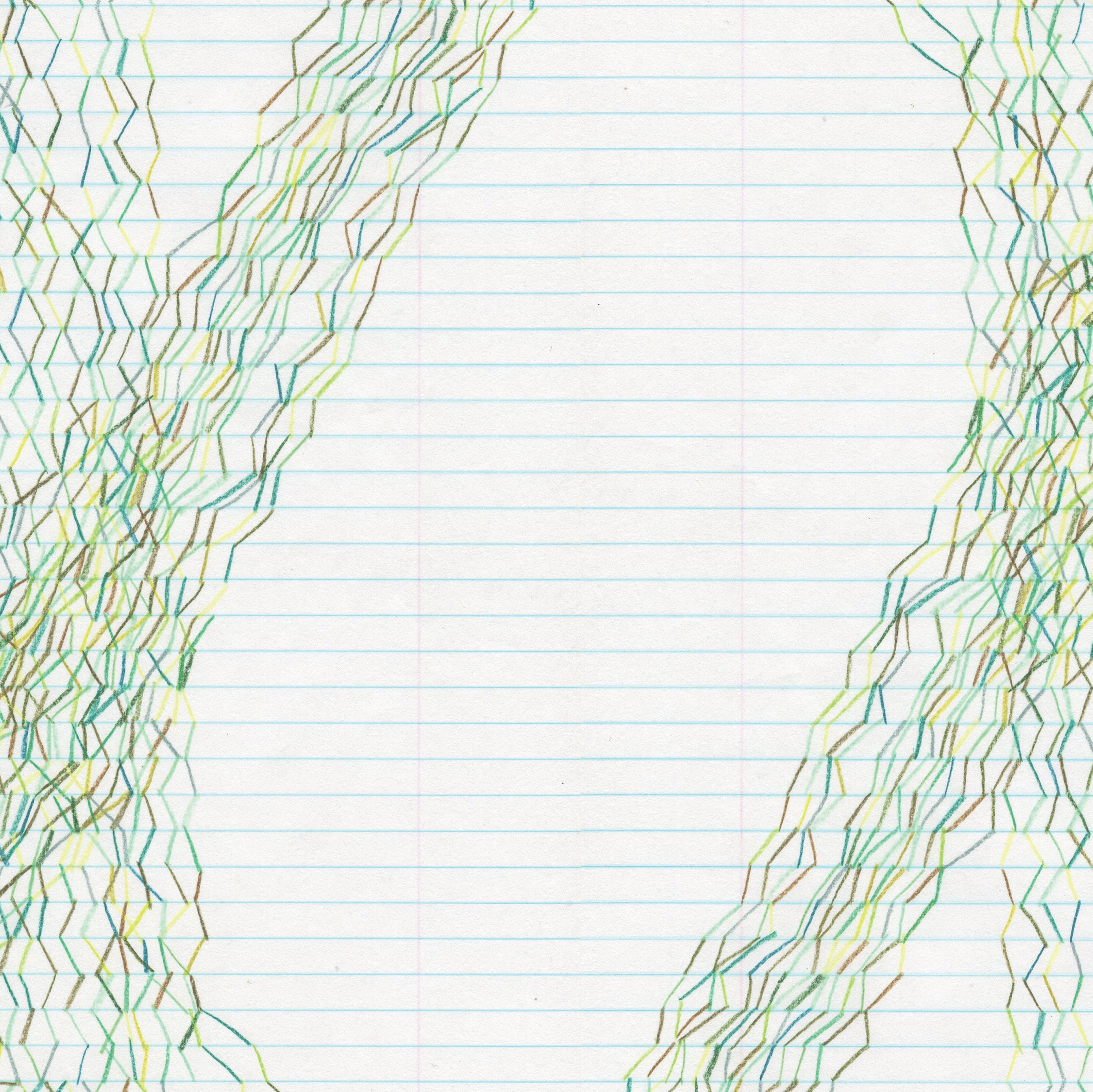 STEVE RODEN Forms Of Paper