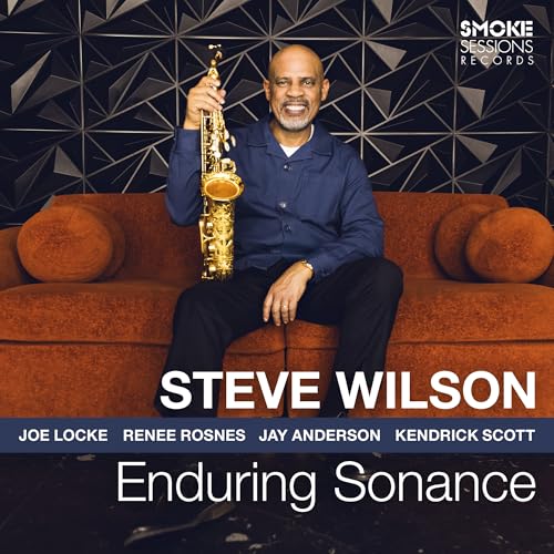 Steve Wilson Enduring Sonance