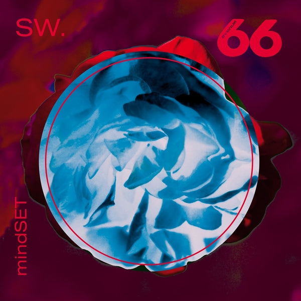 SW. Mindset