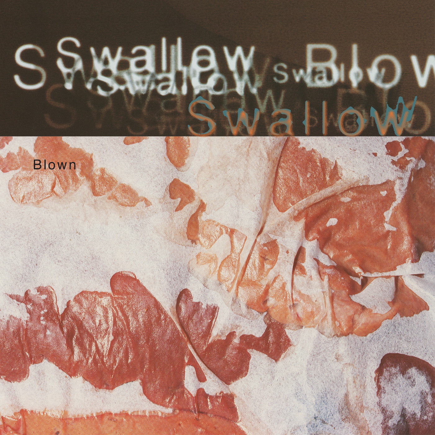 Swallow Blown
