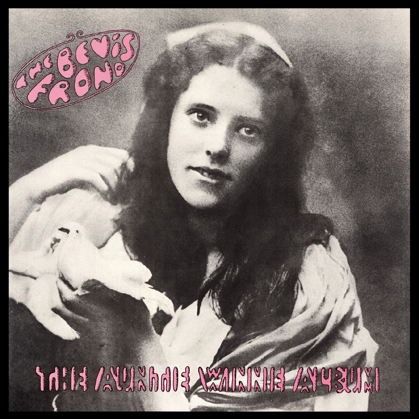 The Bevis Frond The Auntie Winnie Album (Pink Vinyl)