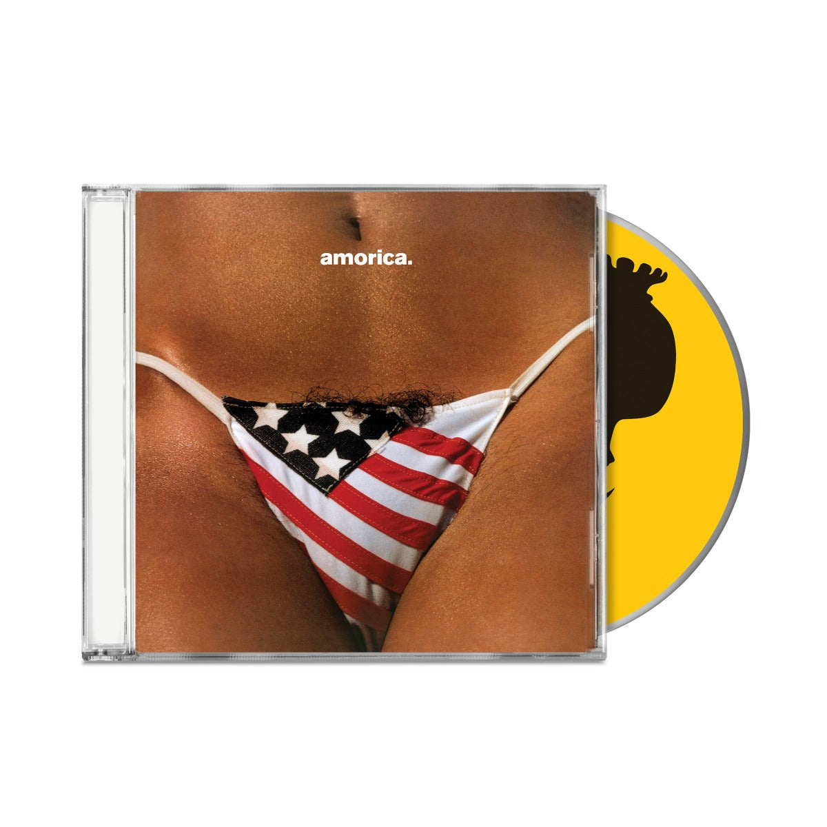 The Black Crowes Amorica.