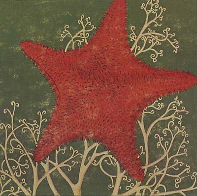 THE BLITHE SONS Arm of the Starfish