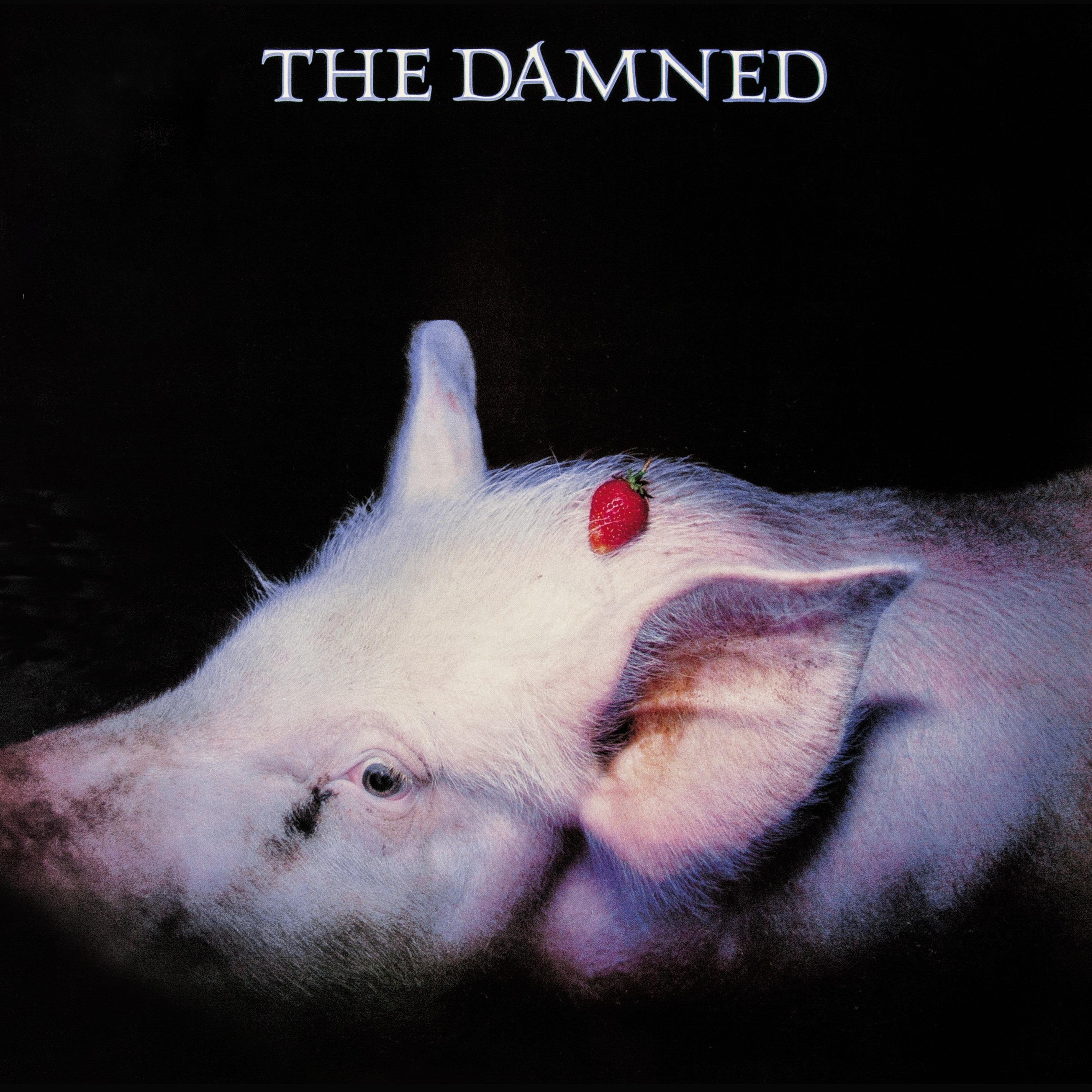 The Damned Strawberries