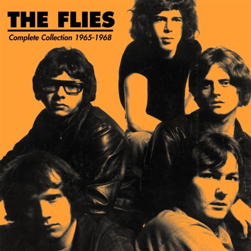 The Flies Complete Collection 1965-1968