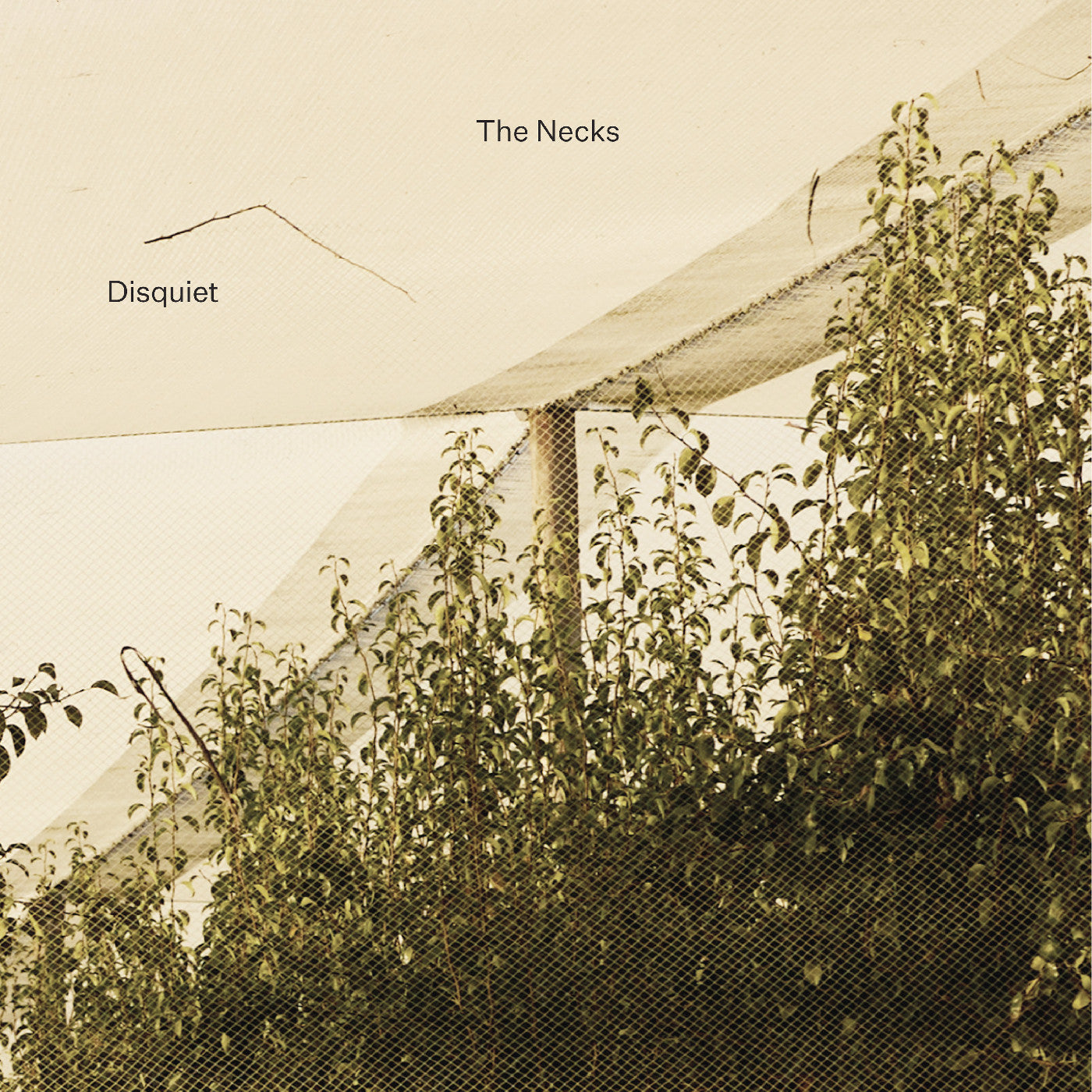 The Necks Disquiet