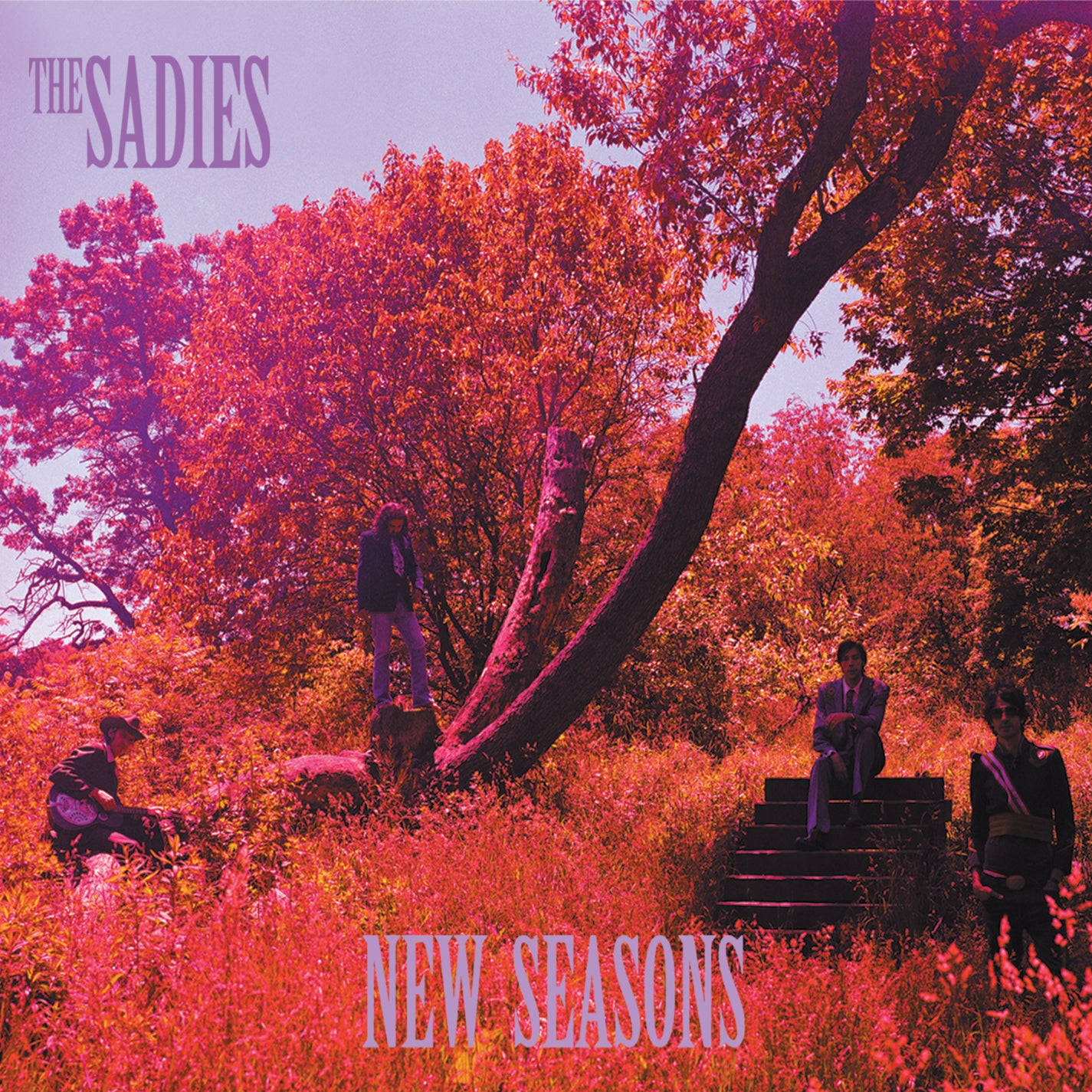 The Sadies New Seasons