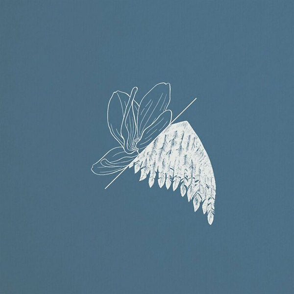 TIM LINGHAUS Memory Sketches
