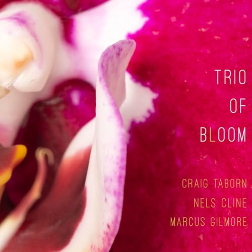 Trio Of Bloom Trio Of Bloom