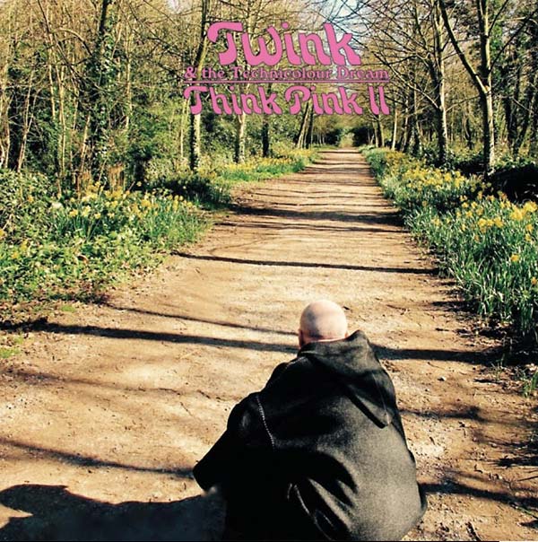 TWINK AND THE TECHNICOLOUR DREAM Think Pink II