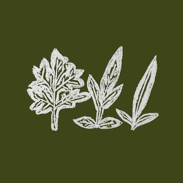 UENO TAKASHI Variations of Weeds