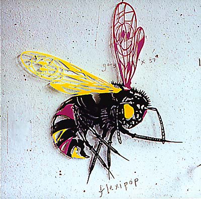 Va Flexipop