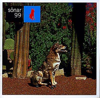 Va Sónar 99