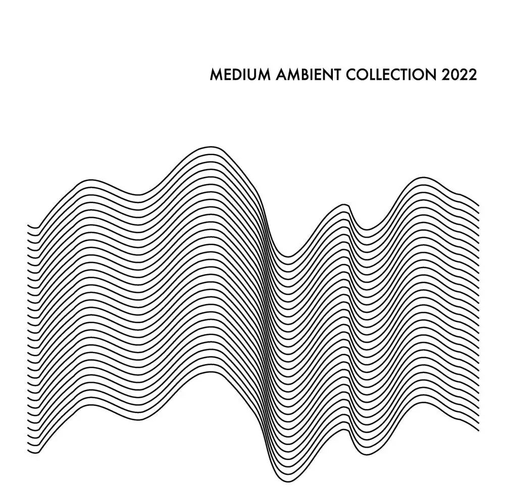 Various Artists Medium Ambient Collection 2022 White