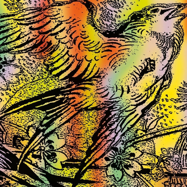 Various Artists One Swallow Doesn'T Make A Summer Part 7