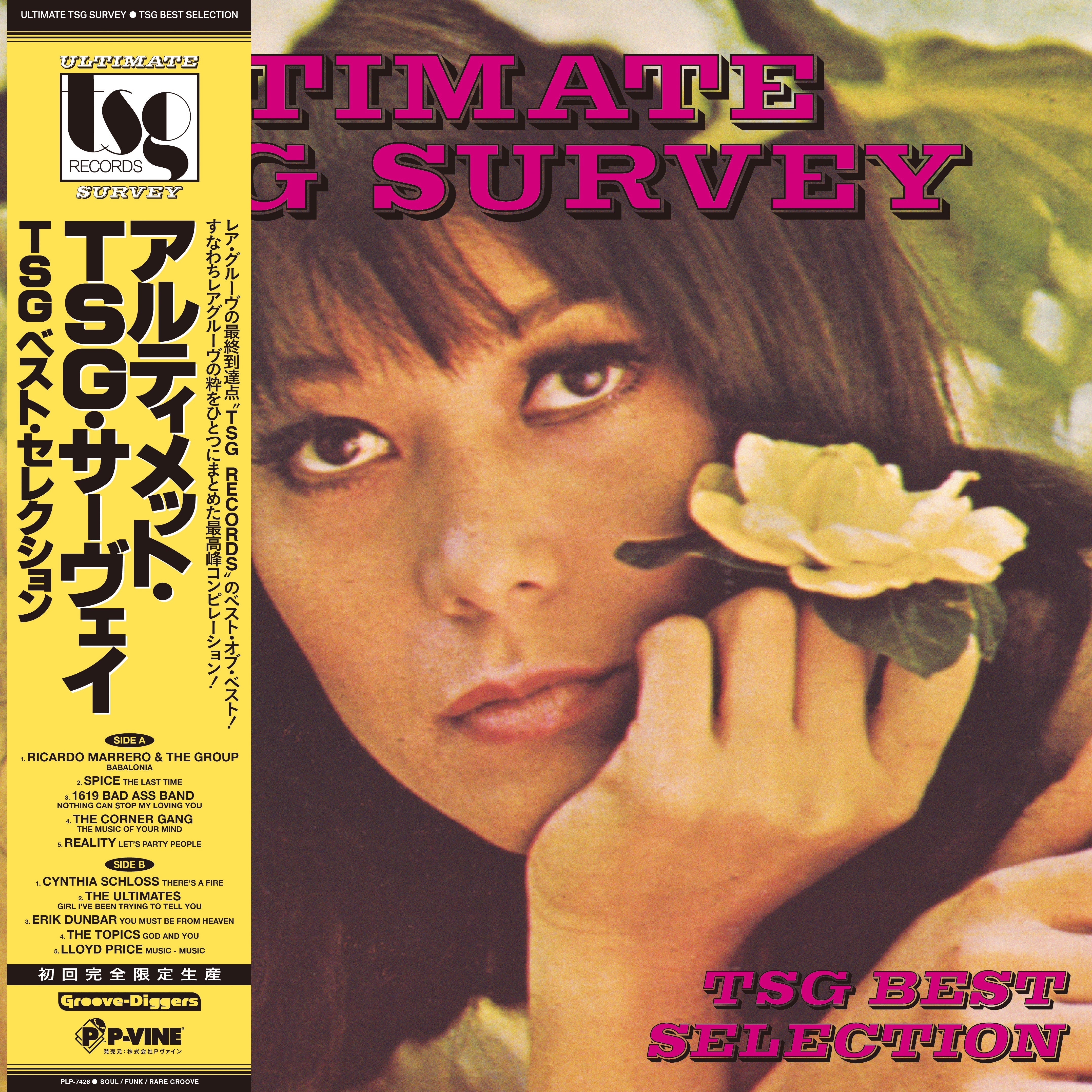 Various Artists Ultimate Tsg Survey (Tsg Best Selection)
