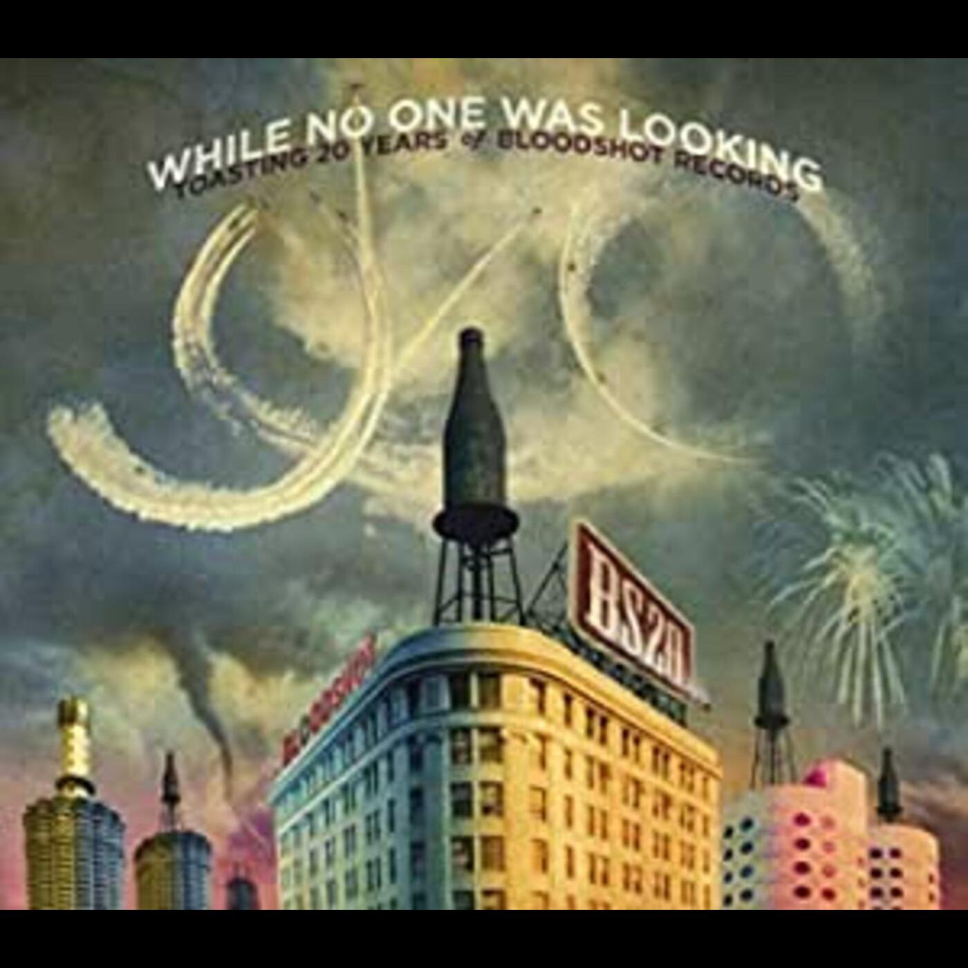 Various Artists While No One Was Looking: Toasting 20 Years