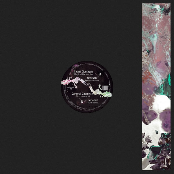 Various Atrists Acid Explorations