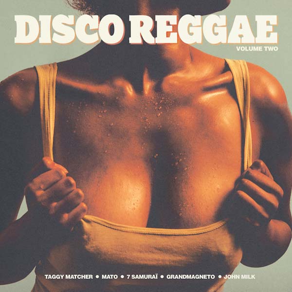Various Atrists Disco Reggae Volume Two