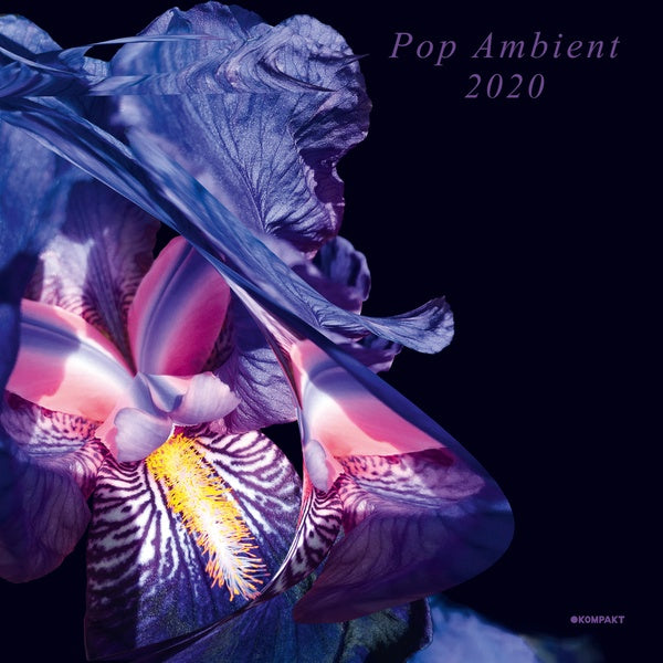 Various Atrists Pop Ambient 2020