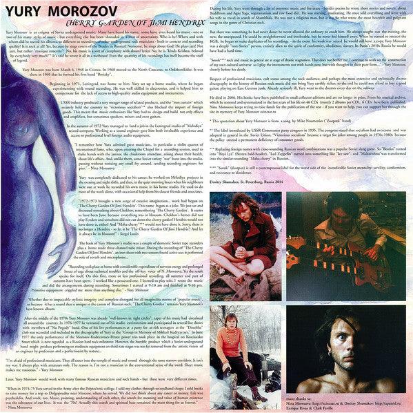 Jimi Hendrix Vinyl Record