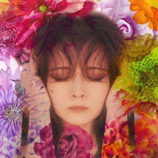 Akina Nakamori Fixer