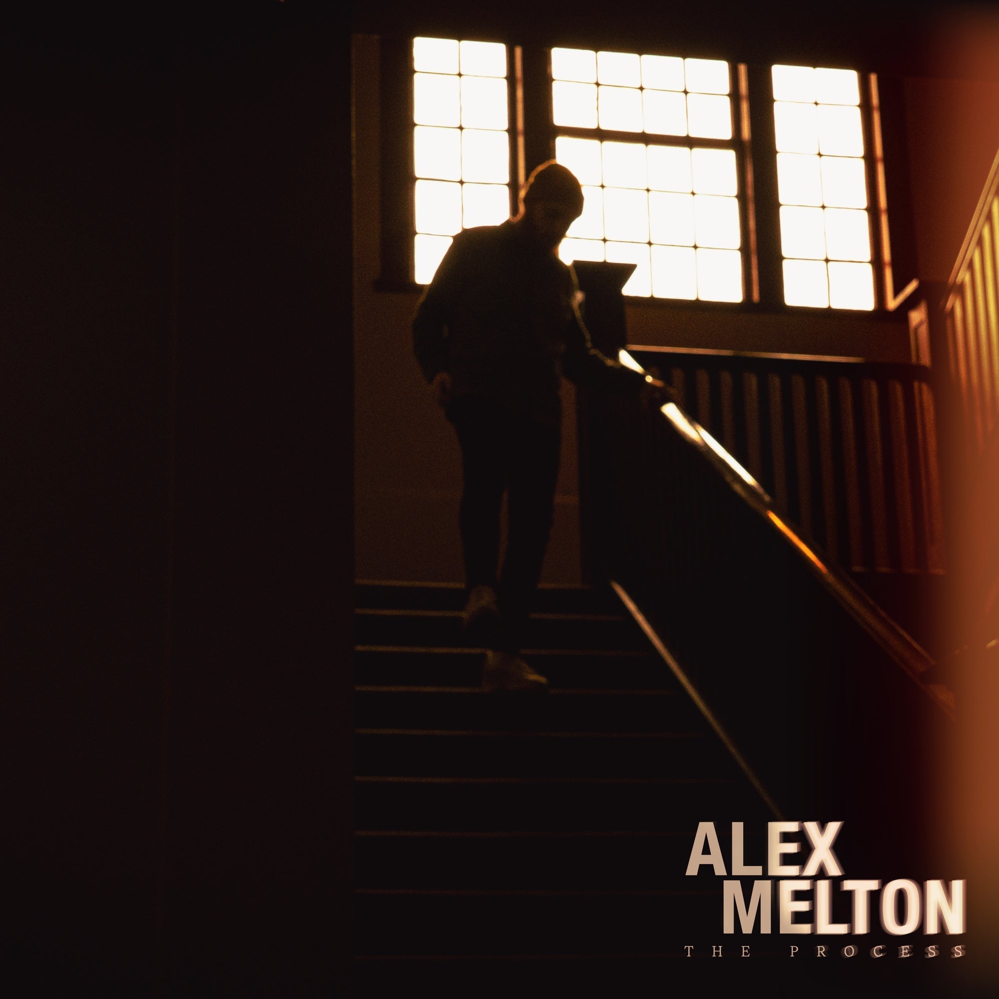 Alex Melton The Process [Tigers Eye Marble]