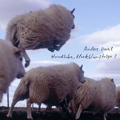 ANDERS DAHL Hundloka, flockblomstriga 1