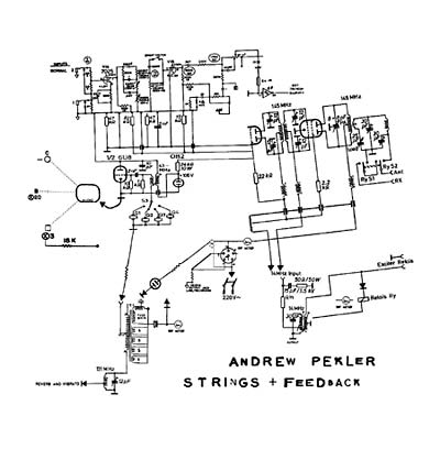 ANDREW PEKLER Strings + Feedback