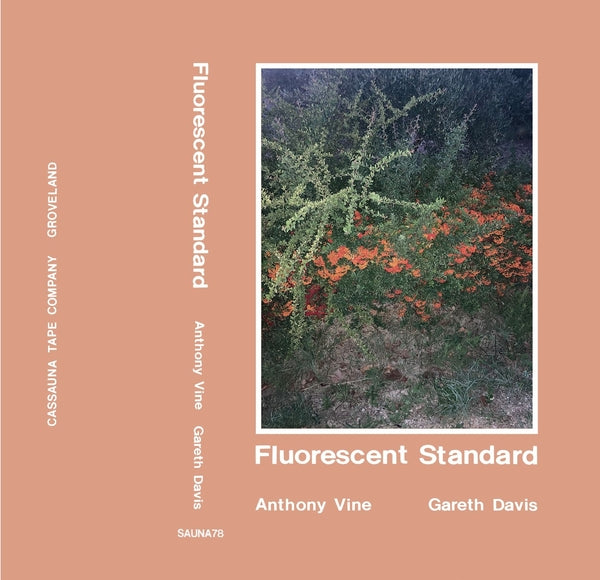 ANTHONY VINE AND GARETH DAVIS Fluorescent Standard