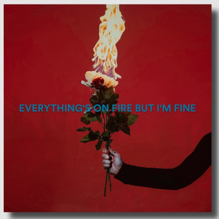 As December Falls Everything's On Fire But I'm Fine [Explicit Content] (Deluxe Edition)
