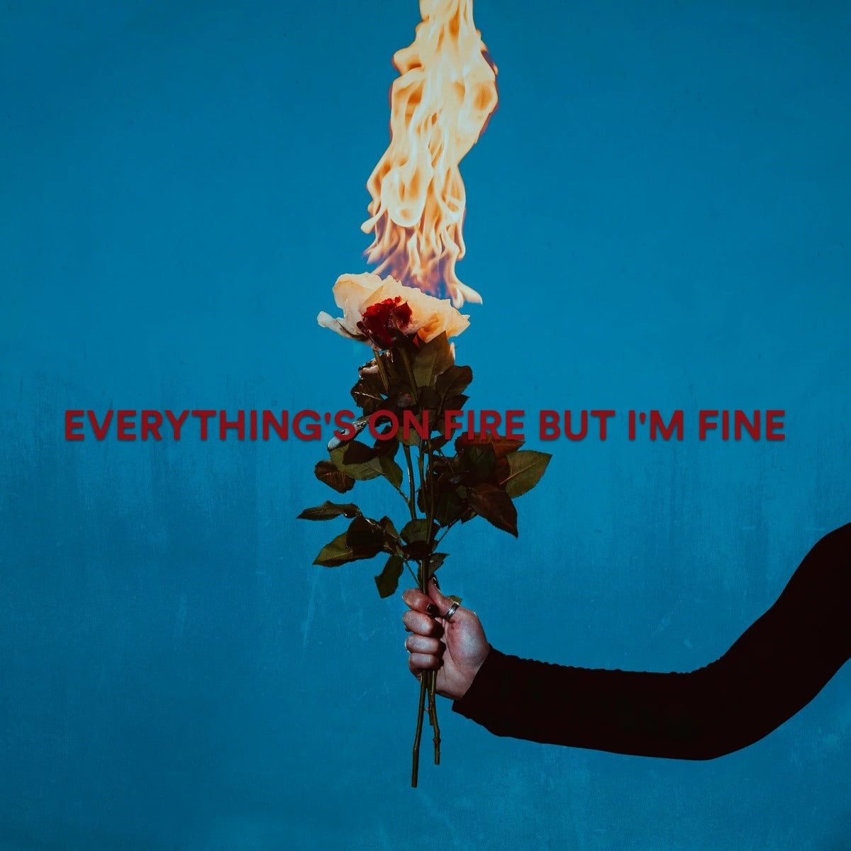 As December Falls Everything's On Fire But I'm Fine [Explicit Content]