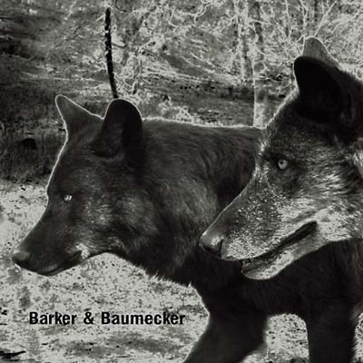 BARKER & BAUMECKER Transsektoral