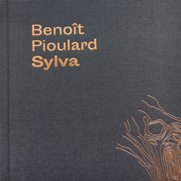 BENOIT PIOULARD Sylva