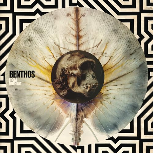 Benthos From Nothing