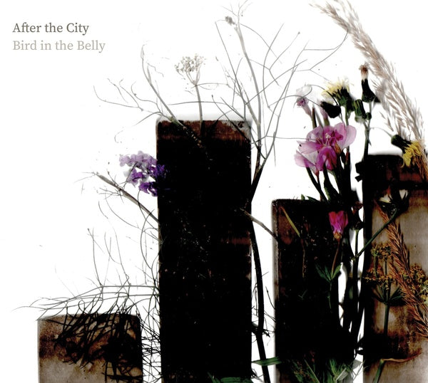 BIRD IN THE BELLY After the City