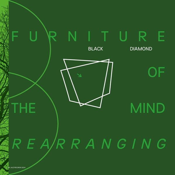BLACK DIAMOND Furniture Of Mind Rearranging