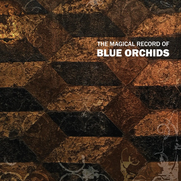 Blue Orchids The Magical Record Of Blue Orchids