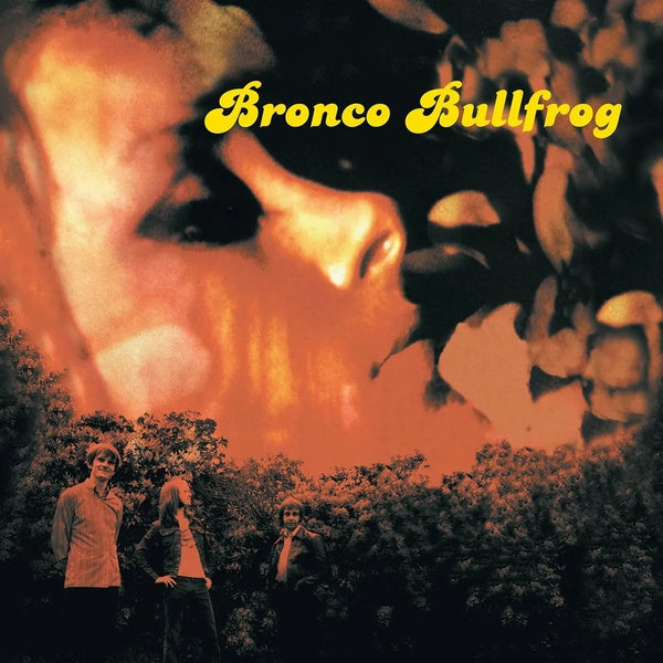 BRONCO BULLFROG Bronco Bullfrog