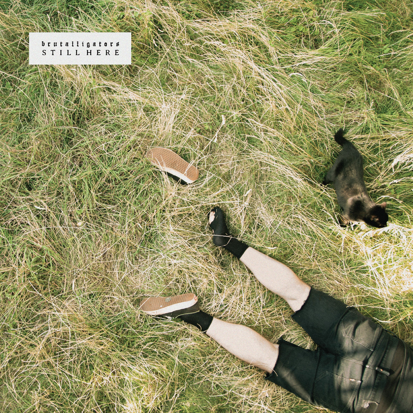 Brutalligators Still Here (Indie Exclusive Grassy Green Marbled Vinyl)