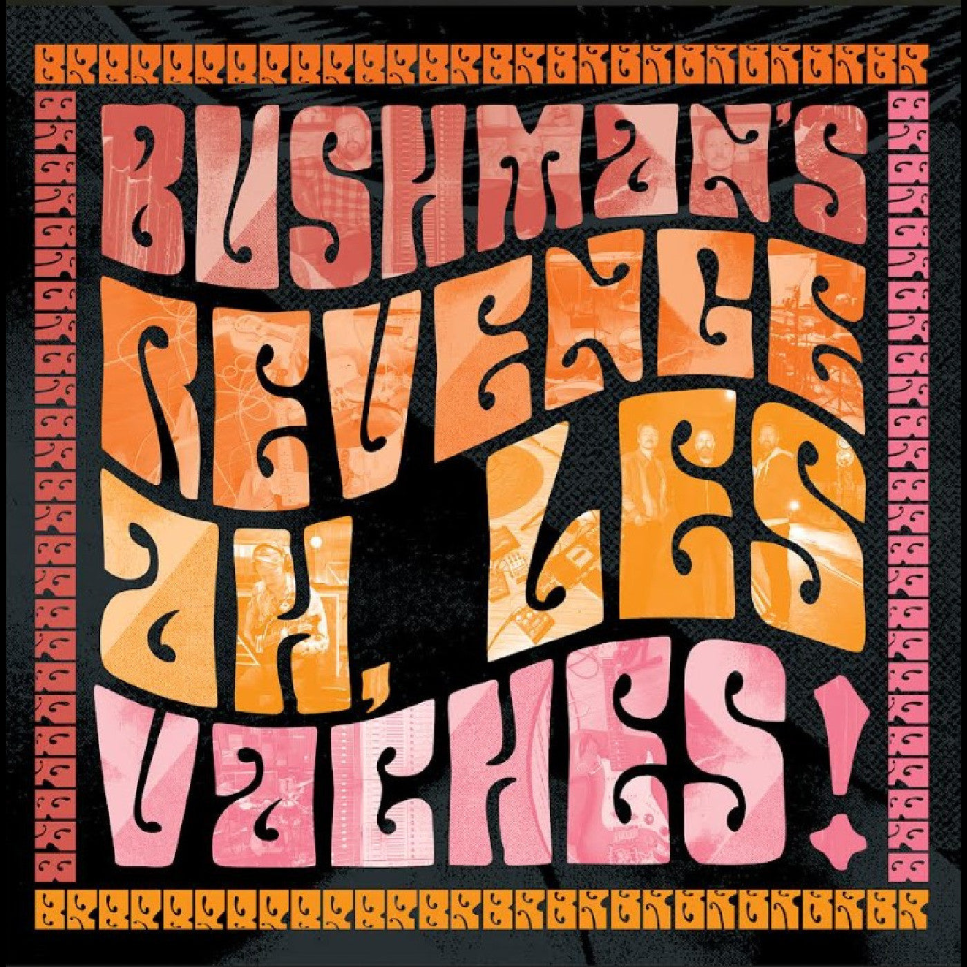 BUSHMAN'S REVENGE Ah, Les Vaches