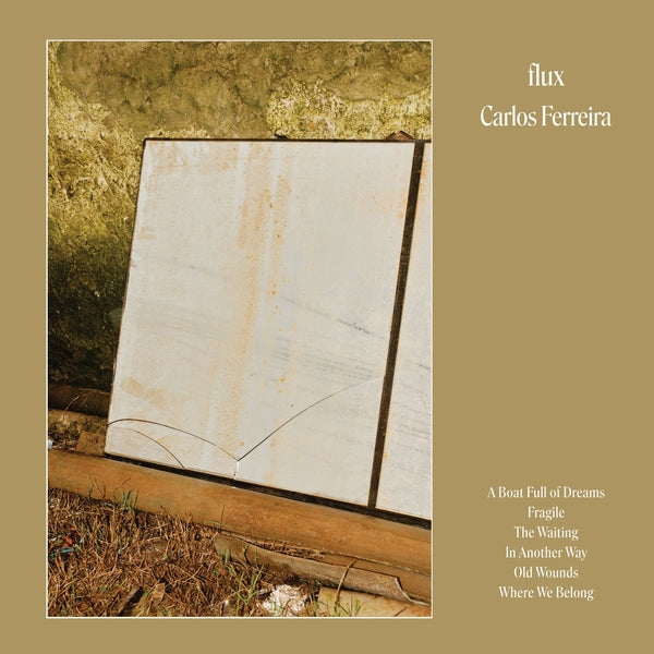 Carlos Ferreira Flux