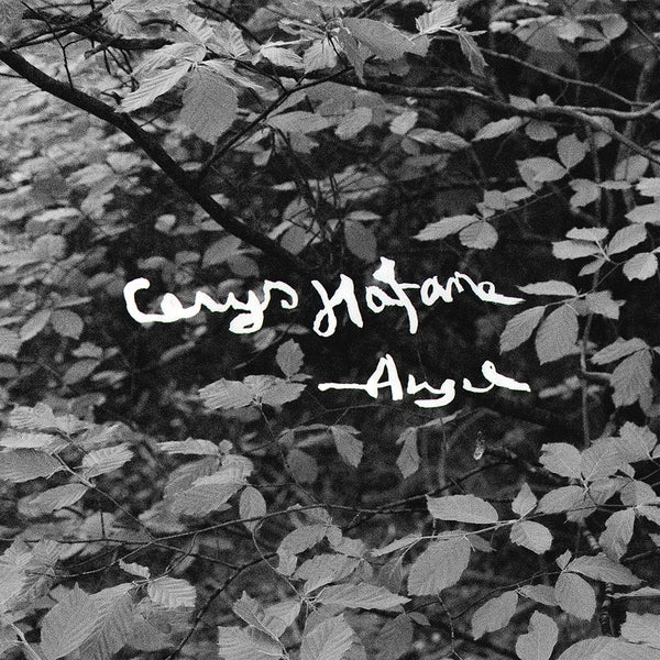 Cerys Hafana Angel [Cd]