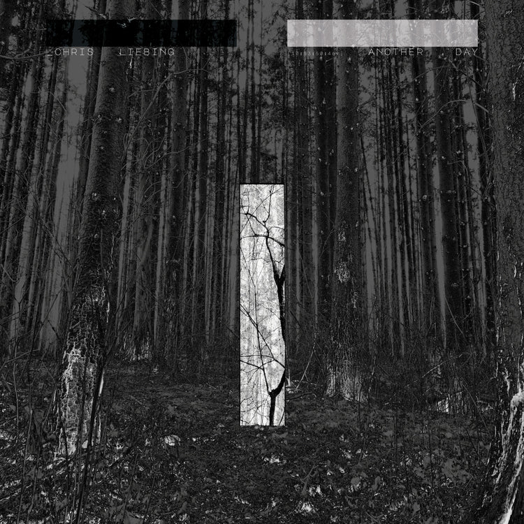 CHRIS LIEBING Another Day