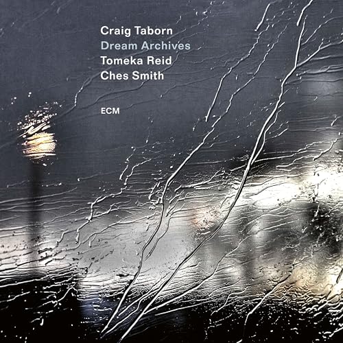 Craig Taborn/Tomeka Reid/Ches Smith Dream Archives