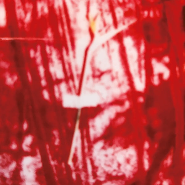 D.A.N. Sundance
