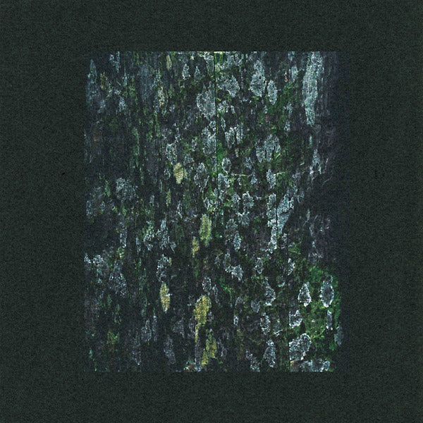 DARK SKY The Walker/Kilter - Remixes