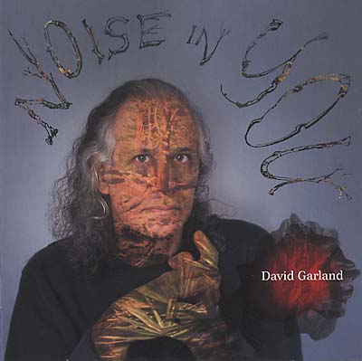 DAVID GARLAND Noise In You